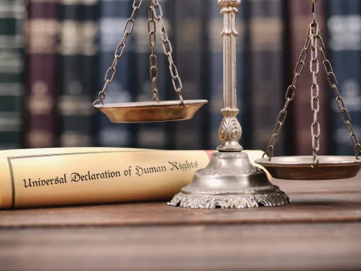 Scales of Justice, Universal declaration of human rights
