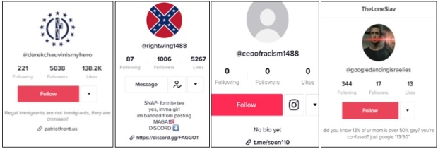 confederate tiktok