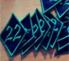 Firm 22