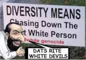 Diversity = White Genocide