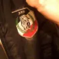 Aryan Terror Brigade